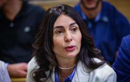 מירי רגב (צילום: חיים גולדברג, פלאש 90)