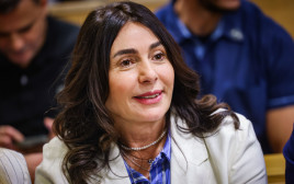 מירי רגב (צילום: חיים גולדברג, פלאש 90)