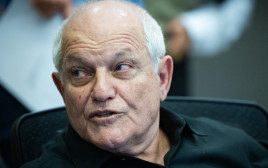 חיים כץ (צילום: יונתן זינדל, פלאש 90)
