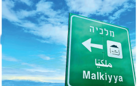 מלכיה (צילום: סיון שושני)