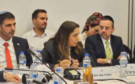 השרה מאי גולן (צילום: ללא קרדיט)