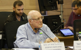 חנן מלצר (צילום: מרק ישראל סלם)