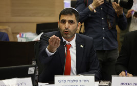 שלמה קרעי בדיון על חוקי התאגיד (צילום: מרק ישראל סלם)