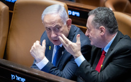 ישראל כ"ץ, בנימין נתניהו (צילום: חיים גולדברג, פלאש 90)