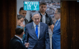 בנימין נתניהו (צילום: חיים גולדברג, פלאש 90)