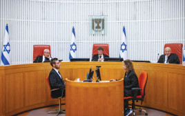 דיון בבית המשפט העליון (צילום: חיים גולדברג/פלאש 90)