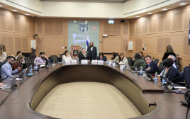 ועדת העבודה והרווחה (צילום: דוברות הכנסת, דני שם טוב)