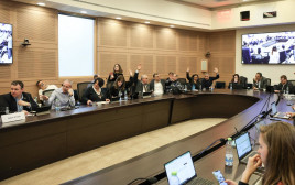 ועדת העבודה והרווחה (צילום: דוברות הכנסת, דני שם טוב)