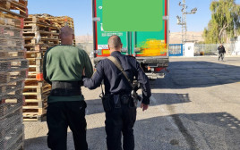 האדם שנעצר בחשד לגניבת תמרים באילת (צילום: דוברות המשטרה)