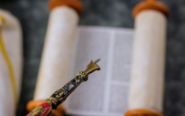 ספר תורה (צילום: אינג'אימג')