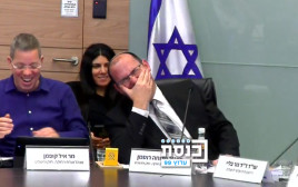 שמחה רוטמן מתפקע מצחוק בוועדת חוקה (צילום: ערוץ הכנסת)