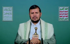 עבד אל-מלכ אל-חות'י, מנהיג החות'ים (צילום: רשתות ערביות)