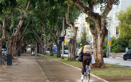 חורף בתל אביב (צילום: אבשלום ששוני)
