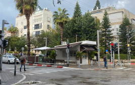 חורף בתל אביב (צילום: אבשלום ששוני)