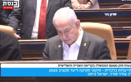 בנימין נתניהו (צילום: ערוץ הכנסת)