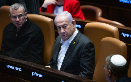 בנימין נתניהו (צילום: חיים גולדברג, פלאש 90)