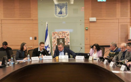 דיון ועדת הכלכלה - פגיעת זכויות הטסים לחו"ל (צילום: דני שם טוב, דוברות הכנסת)