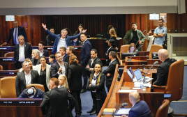 כנסת ישראל (צילום: נועם מושקוביץ, דוברות הכנסת)