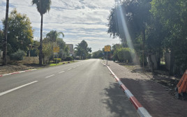 כפר טרומן (צילום: אלון חכמון)