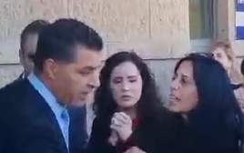 עינב צנגאוקר מורחקת מהכניסה לכנסת  (צילום: ללא קרדיט)