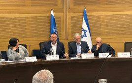 דיון בכנסת- תושבי הצפון (צילום: דוברות הכנסת)