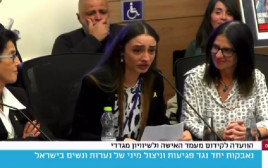 טאיסיה זמולוצקי בדיון בכנסת (צילום: ערוץ הכנסת)