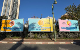 העלאת מודעות לאלרגיות מסכנות חיים  (צילום: עיריית גבעתיים)