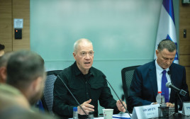 גלנט בועדת החוץ והבטחון של הכנסת (צילום: יונתן זינדל, פלאש 90)