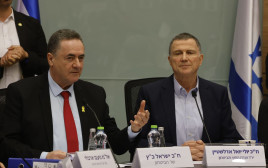יולי אדלשטיין, ישראל כ"ץ (צילום: מארק ישראל סלם)