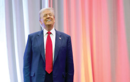 דונלד טראמפ (צילום: Andrew Harnik/Getty Images)