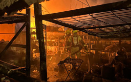 אחת השריפות בפונדוק, ינואר 2025 (צילום: דוברות כבאות והצלה)