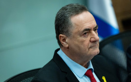  ישראל כ"ץ  (צילום: יונתן זינדל, פלאש 90)