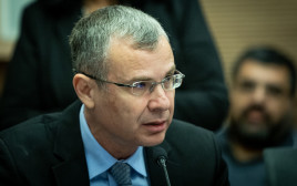 יריב לוין (צילום: יונתן זינדל, פלאש 90)
