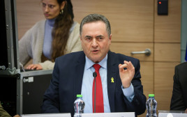 ישראל כ"ץ (צילום: נועם מושקוביץ, פלאש 90)