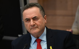 ועדת חוץ וביטחון בכנסת, שר הביטחון ישראל כ"ץ (צילום: יואב דודקביץ/TPS)