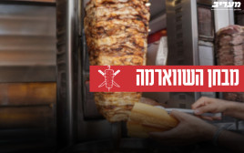 מבחן השווארמה (צילום: אינג'אימג')