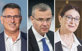 גדעון סער, יריב לוין, אסתר חיות (צילום: יוסי אלוני, פלאש 90,מרים אלסטר פלאש 90)