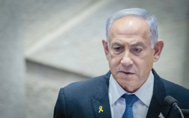 בנימין נתניהו  (צילום: חיים גולדברג פלאש 90)