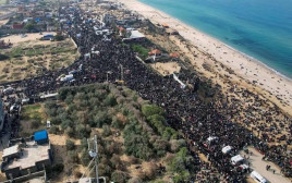 עקורים בעזה (צילום: רשתות חברתיות)