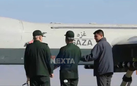 מל"ט תוצרת איראן, שקיבל את הכינוי "עזה" (צילום: צילום מסך, רשת X)