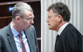 יריב לוין, שמחה רוטמן (צילום: יונתן זינדל, פלאש 90,חיים גולדברג פלאש 90)