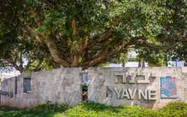 יבנה (צילום: יוסי אלוני, פלאש 90)