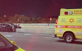 התאונה בכביש 5 (צילום: מד"א)