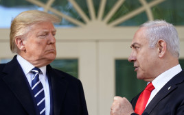 בנימין נתניהו, דונלד טראמפ (צילום:  REUTERS/Kevin Lamarque)