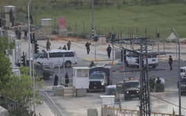 זירת הפיגוע בבקעת הירדן (צילום: רשתות ערביות)