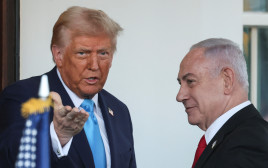 טראמפ ונתניהו בבית הלבן (צילום: רויטרס)