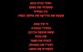 "מִלְחָמָה": שירים בעקבות ה-7 באוקטובר | שחר שחר (צילום: שחר שחר)