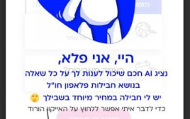 בינה מלאכותית לחבילת חו"ל (צילום: צילום מסך)