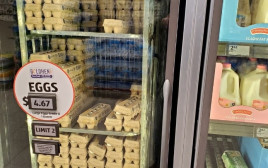 רשת אלדי באילנוי (צילום: מתוך רשתות חברתיות אמריקאיות)