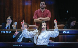 טלי גוטליב בכנסת (צילום: חיים גולדברג, פלאש 90)